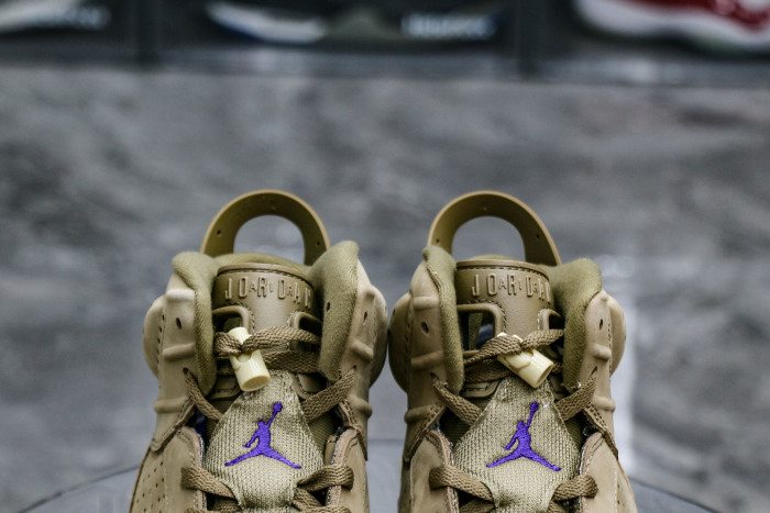 Air Jordan 6 Retro GORE TEX Brown Kelp Wmns
