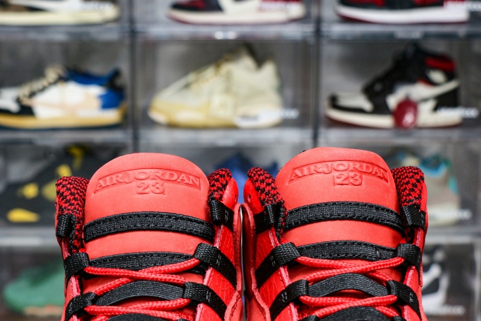 Jordan 10 Retro Steve Wiebe HOH