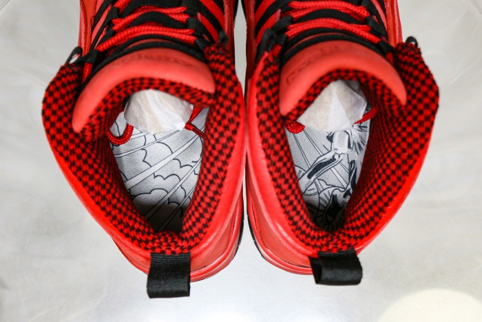 Jordan 10 Retro Steve Wiebe HOH