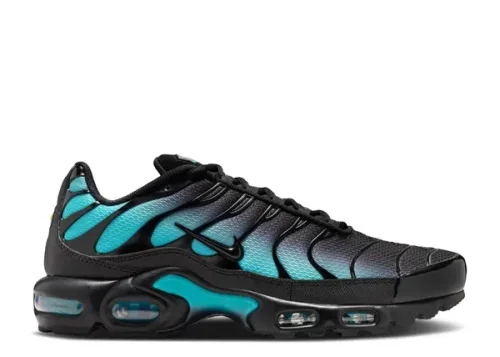 Air Max Plus Black Dusty Cactus