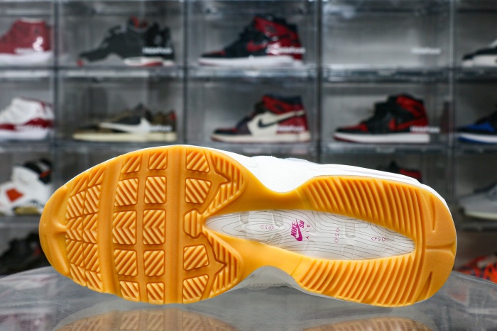 Nike SB X Air Max 95 Cactus Flower 2025