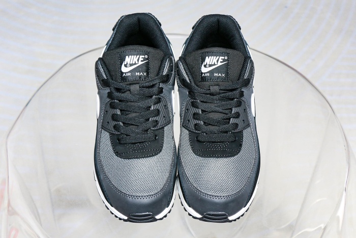 Nike Air Max 90 Iron Grey