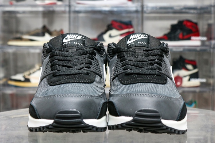 Nike Air Max 90 Iron Grey