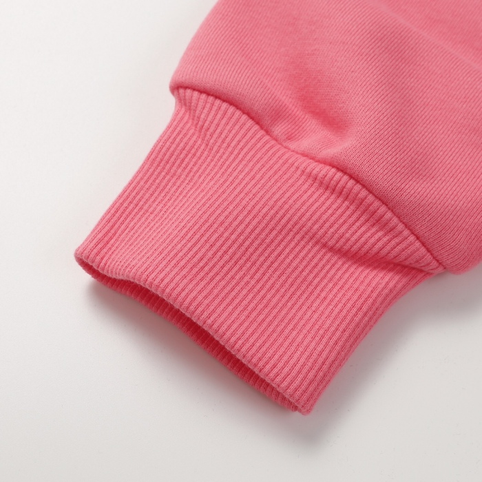 Stone Island Autumn/Winter Crewneck Hoodie