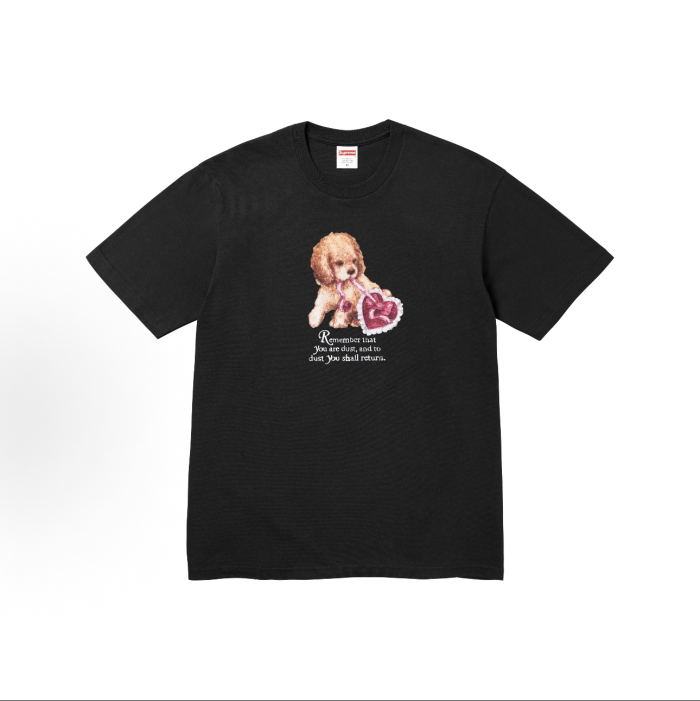Supreme FW25 Week17 Dust T-Shirt
