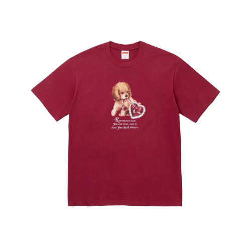 Supreme FW25 Week17 Dust T-Shirt