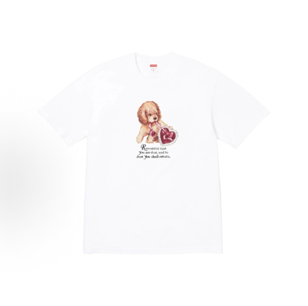 Supreme FW25 Week17 Dust T-Shirt
