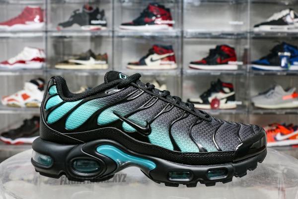 Air Max Plus Black Dusty Cactus