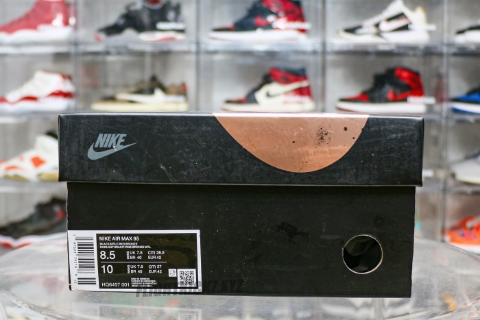 Central Cee X Air Max 95 Live Yours