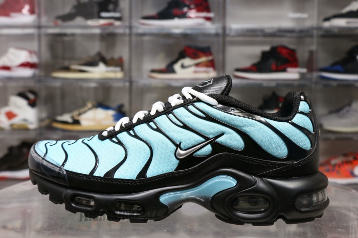 Air Max Plus Aqua Silver