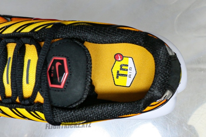 Air Max Plus Sunset 2024