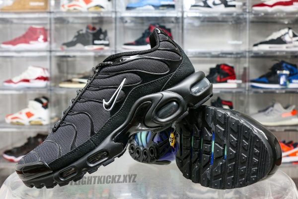 Air Max Plus Unity
