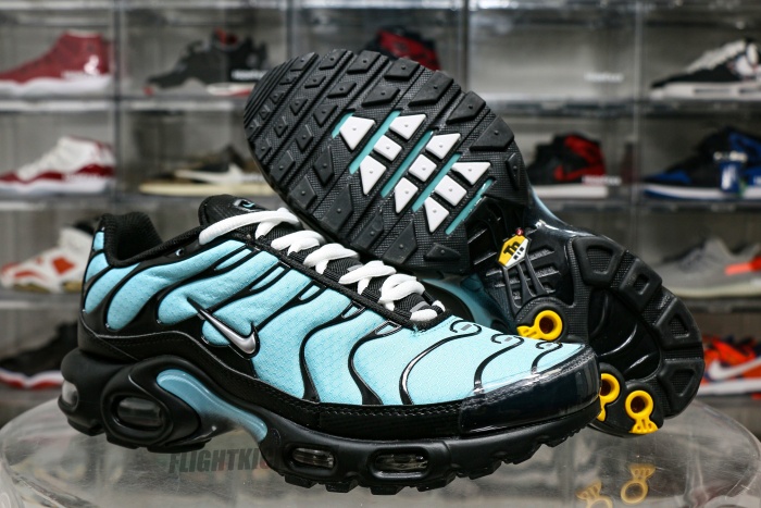 Air Max Plus Aqua Silver