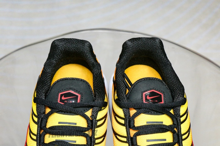 Air Max Plus Sunset 2024