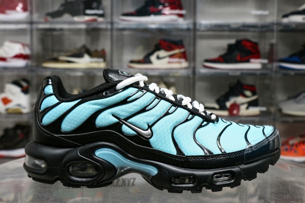 Air Max Plus Aqua Silver