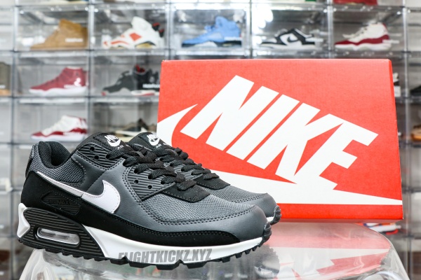 Nike Air Max 90 Iron Grey