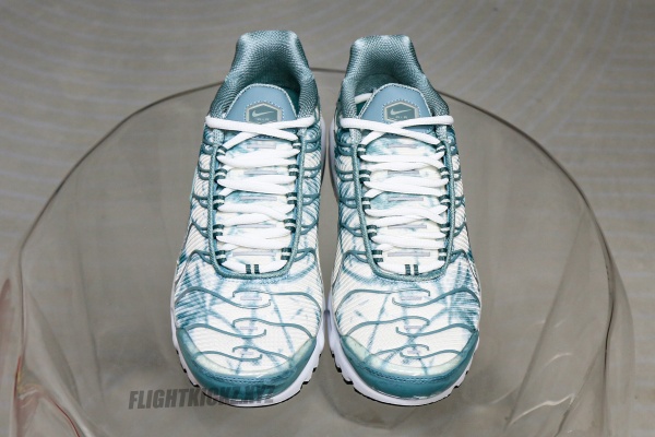 Air Max Plus Palm Pack Waterway