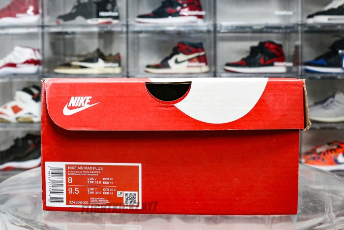 Air Max Plus Unity