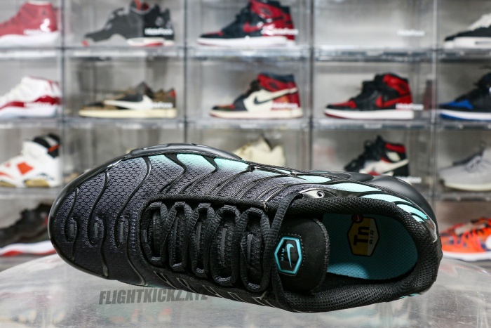 Air Max Plus Black Dusty Cactus
