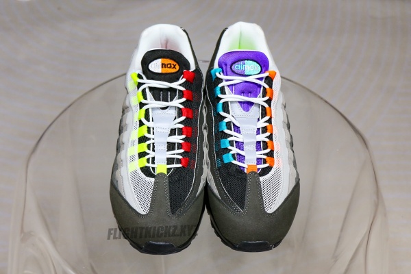 Nike Air Max 95What the Air Max