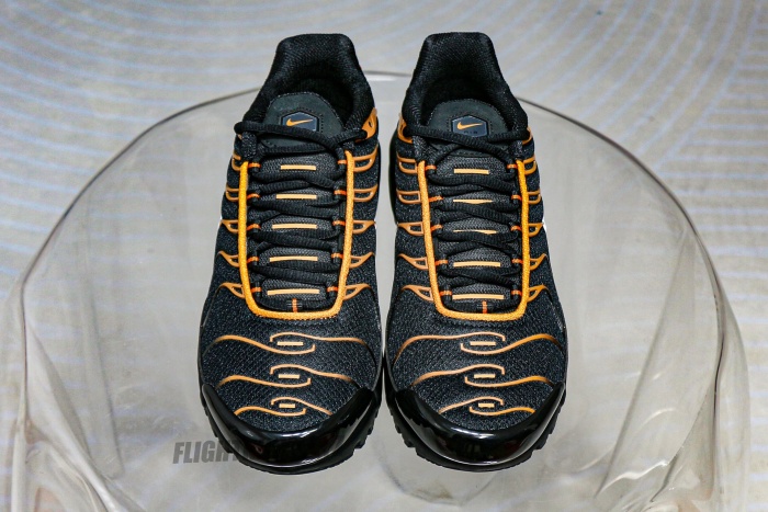 Air Max Plus Dark Obsidian Monarch