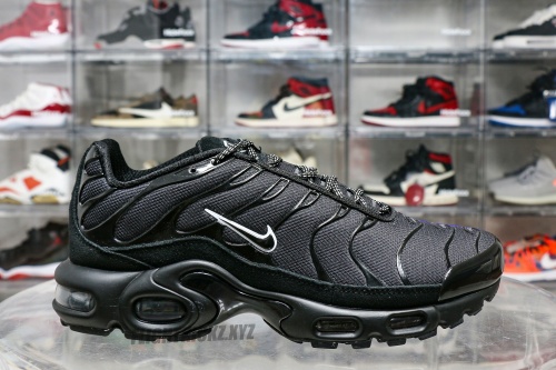 Air Max Plus Unity
