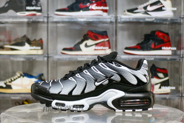 Nike Air Max Plus Black Silver White