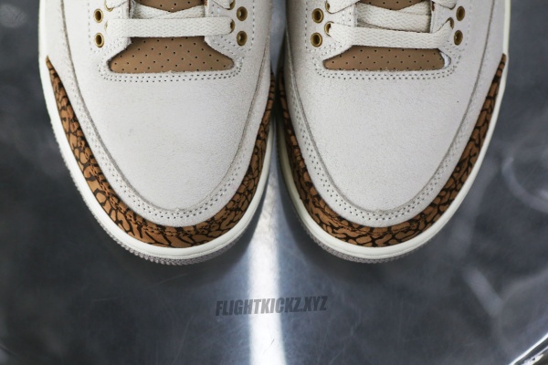 Air Jordan 3 Retro Palomino GS（A1）