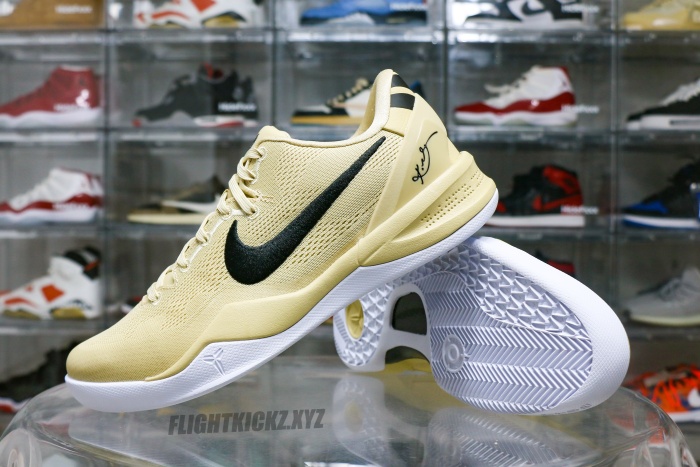 Nike Kobe 8 Protro TB Champagne Gold