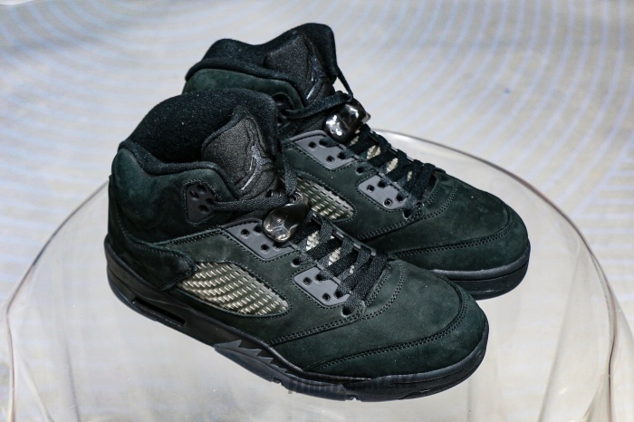 Air Jordan 5 Black Cat