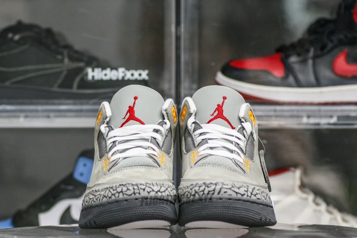 Air Jordan 3 Retro Cool Grey (2021)