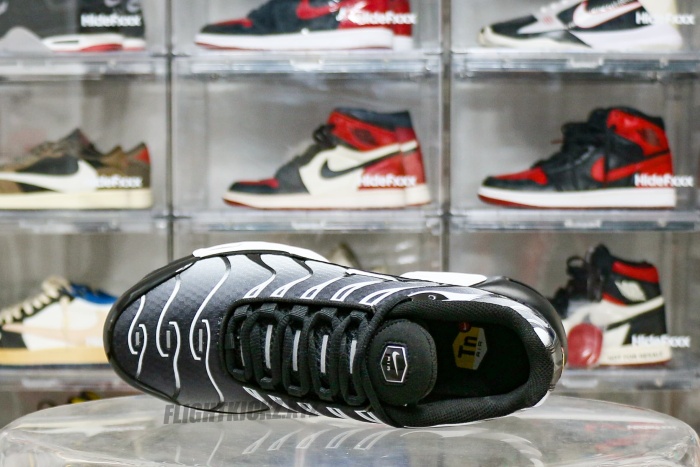 Nike Air Max Plus Black Silver White