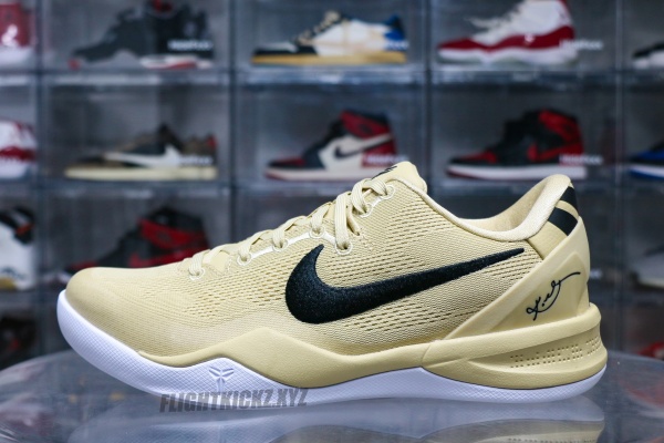 Nike Kobe 8 Protro TB Champagne Gold