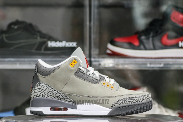 Air Jordan 3 Retro Cool Grey (2021)