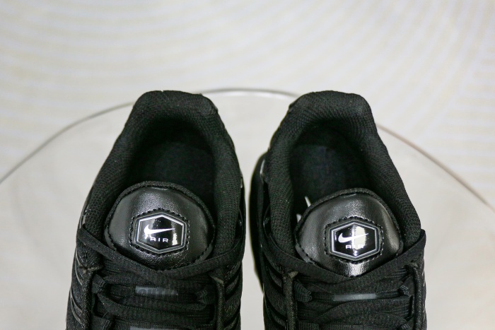 Nike Air Max Plus Triple Black