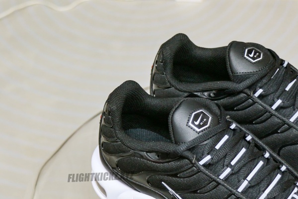 Nike Air Max Plus Black White
