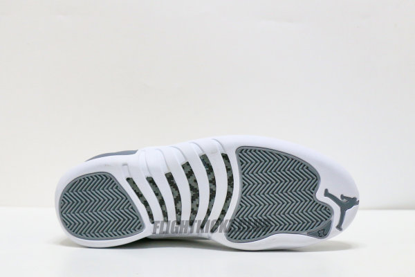 Air Jordan 12  Stealth  sneakers