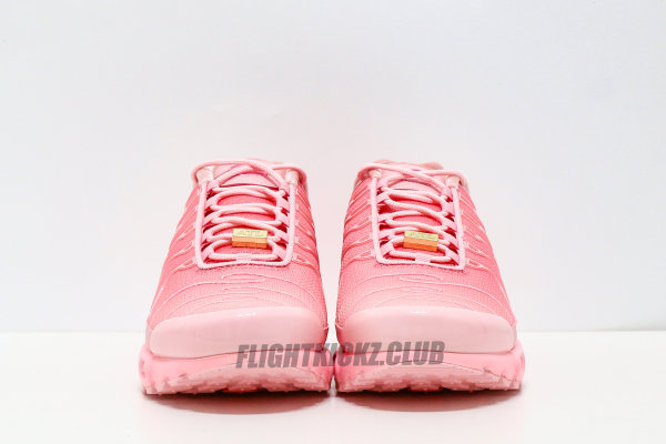 Nike Air Max Plus City Special ATL (Women's)