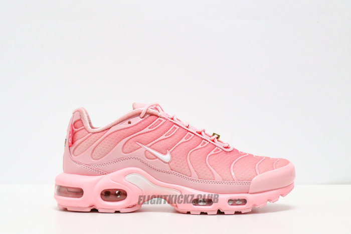 Nike Air Max Plus City Special ATL (Women's)