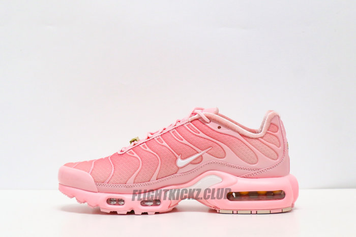 Nike Air Max Plus City Special ATL (Women's)