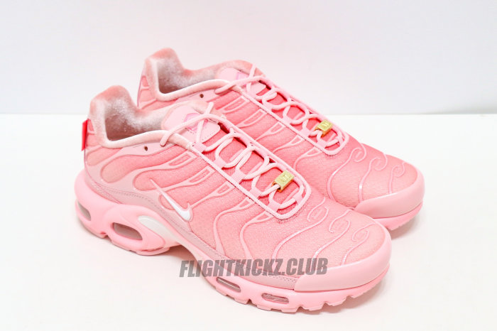 Nike Air Max Plus City Special ATL (Women's)