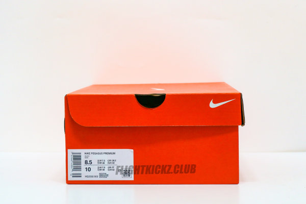 Nike Air Zoom Pegasus Premium Airscape