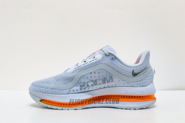 Nike Air Zoom Pegasus Premium Airscape