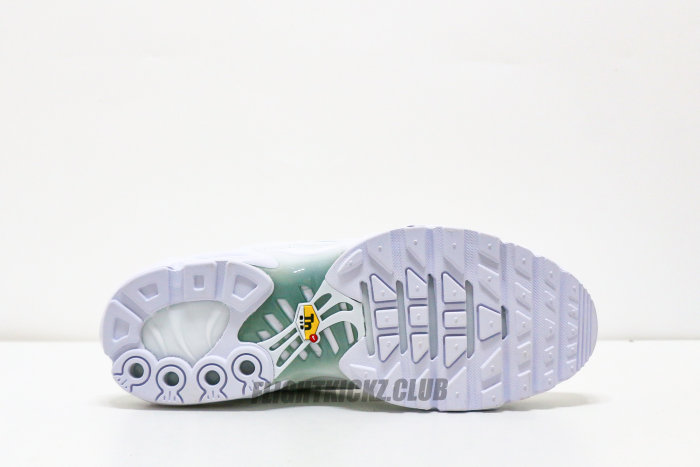 Nike Air Max Plus White Pure Platinum