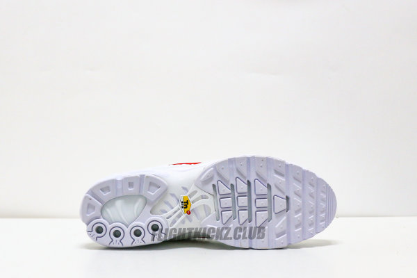 Nike Air Max Plus Supreme White