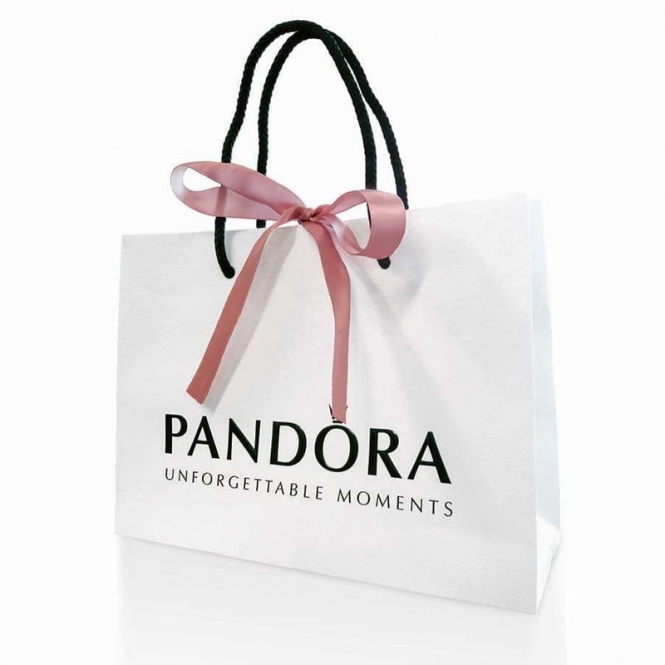 Pandora Dangling Crown O Safety Chain 