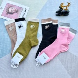 Dior thin socks children's stockings