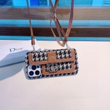 Dior Chito Crossbody Card Bag Mobile Character Case