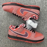 Nike SB Dunk Low ”Red Lobster“Style:313170-661