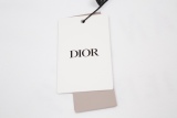 DIOR chest logo T -shirt chest pattern foaming crafts back English logo
